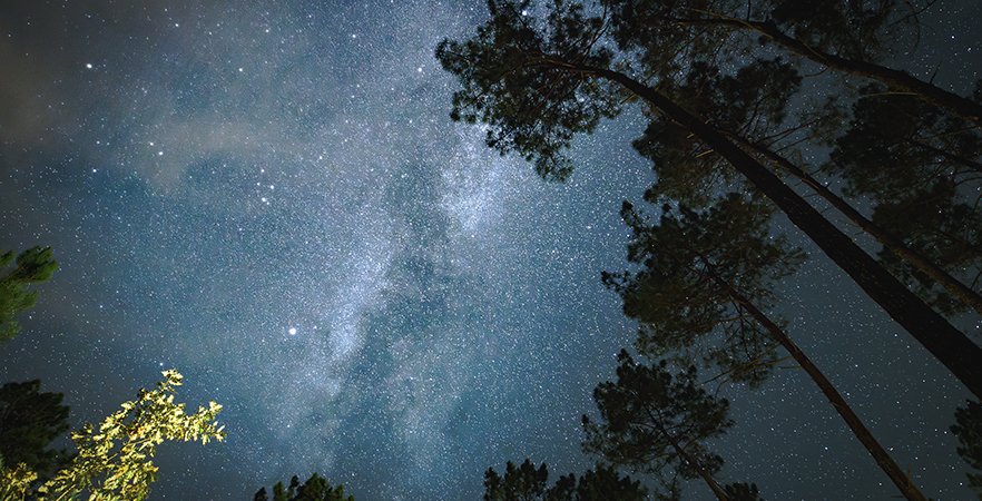 Les Landes de Gascogne labellisées Réserve Internationale de Ciel Étoilé