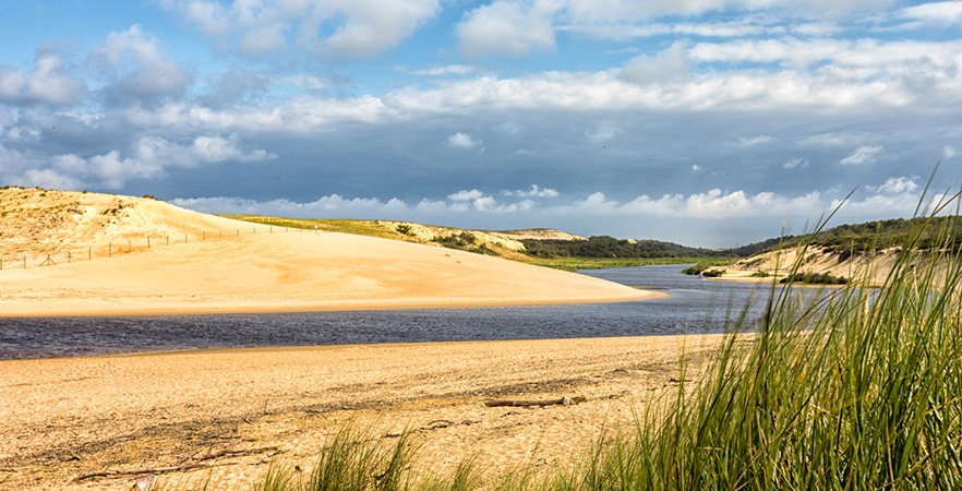 Des outils pour protéger la biodiversité