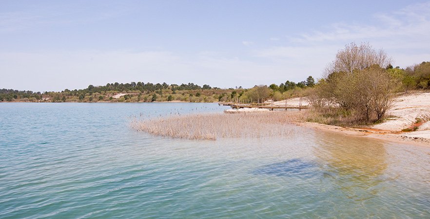 Le site d'Arjuzanx classé réserve nationale naturelle !