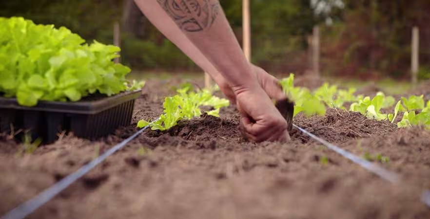 Tester votre projet agricole avec ETAL40, c'est possible !