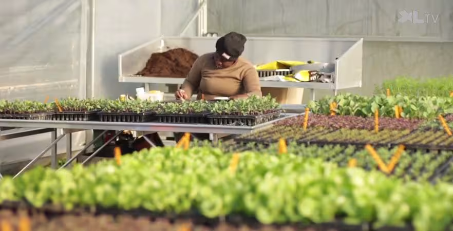 Ferme Emmaüs Baudonne : pour se remettre debout