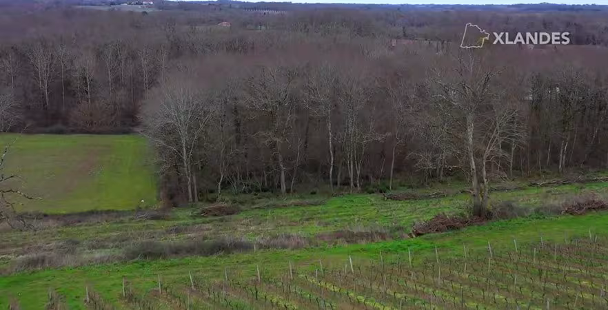 Ognoas : du chêne à la pièce d’Armagnac